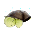 Ночники